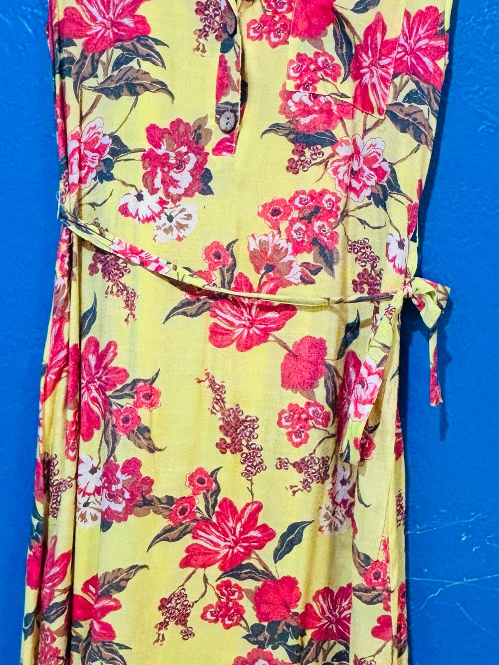 Mlle Gabrielle Yellow Maxi Dress with Pink & Red Floral Print